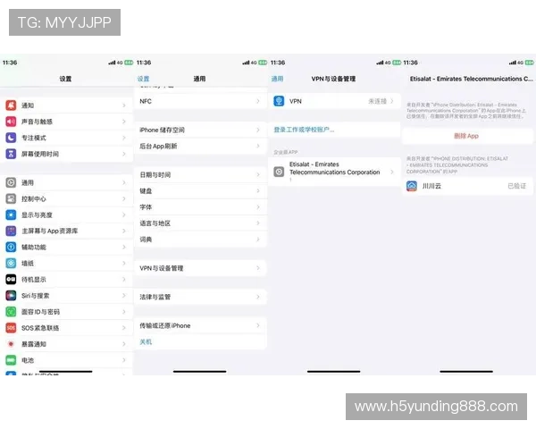 苹果手机用户必看云顶集团iOS版下载安装遇到的常见问题及解决技巧